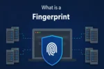 What Is a Fingerprint