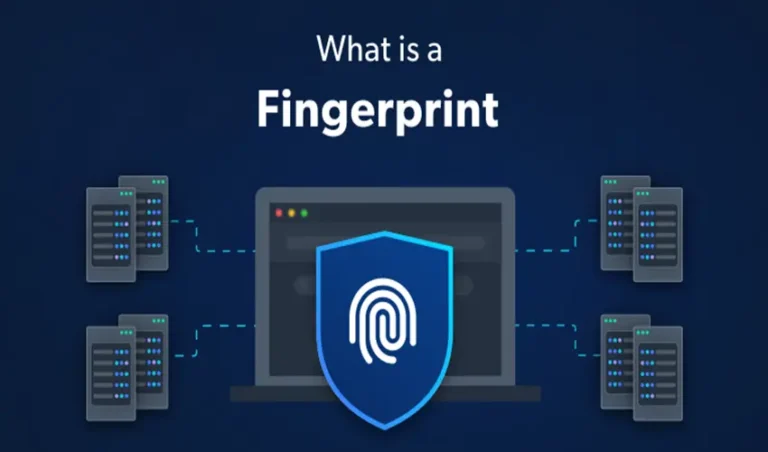 What Is a Fingerprint