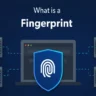 What Is a Fingerprint