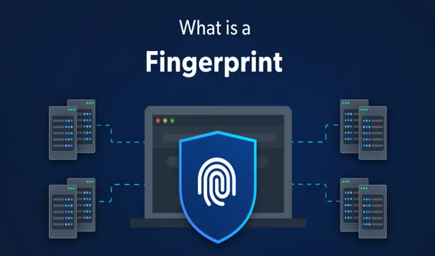 What Is a Fingerprint